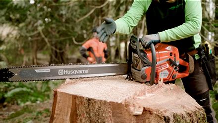 Timberbiz » Husqvarna’s new 592 XP chainsaw to land in Australia next year