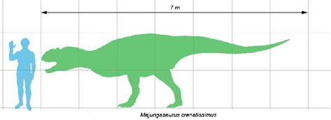 Majungasaurus Pictures & Facts - The Dinosaur Database