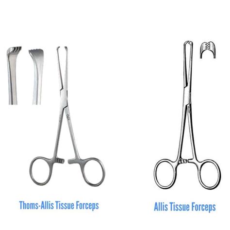 Tenaculum Forceps And Their Uses