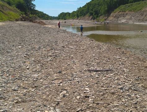 Ladonia Fossil Park is the Ultimate North Texas Adventure | Texas adventure, Park, Adventure