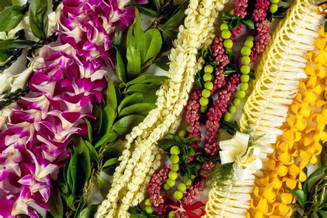 7 of Hawaiʻi's Most Popular Lei and What Makes Them Unique - Hawaii Magazine