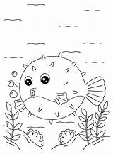 30  Puffer Coloring Pages Free Printable PDF & Online sketch template