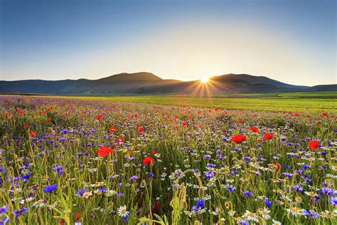 Umbria, Castelluccio Di Norcia, Italy Digital Art by Andrea Pavan - Fine Art America