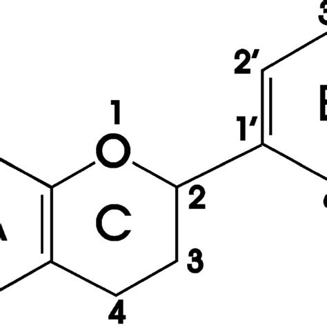 Basic structure of flavonoids. | Download Scientific Diagram