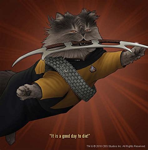 Star Trek: The Next Generation Cats: (Star Trek Book, Book About Cats ...