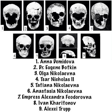 Skulls of Romanov family | Romanov sisters, Tsar nicholas, Romanov family