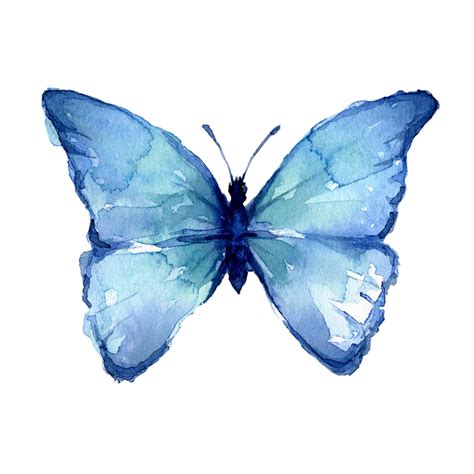 THE BLUE BUTTERFLY - Reposed Light