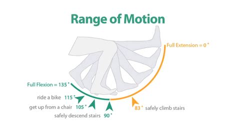 The Fundamental Importance of Knee Range of Motion | X10 Therapy