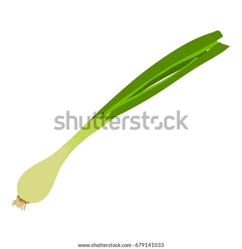 Onion Icon Cartoon Illustration Onion Vector Stock Vector (Royalty Free ...