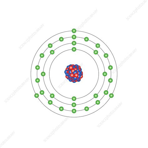 Gallium, atomic structure - Stock Image C013/1574 - Science Photo Library