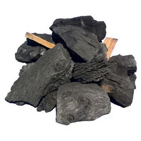 Wood Coal ( Small Size) at Rs 5/kilogram | वुड कोल in Ahmedabad | ID ...