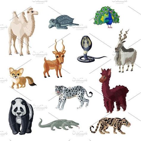 Cartoon Colorful Asian Animals Set | Animal icon, Animals, Cartoon