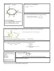 Understanding Beta-Glucose: Functions, Structure, and Importance | Course Hero