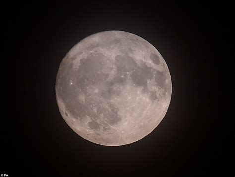 Beaver Moon will beam 14% larger and 30% brighter tonight | Daily Mail Online