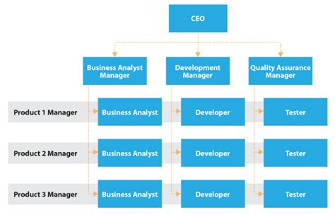 Matrix Organizational Structure Guide with Examples