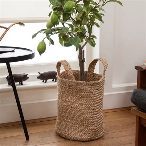 Buy Woven jute plant basket