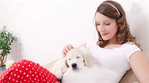 Dog Protects His Pregnant Owner - Compilation - YouTube