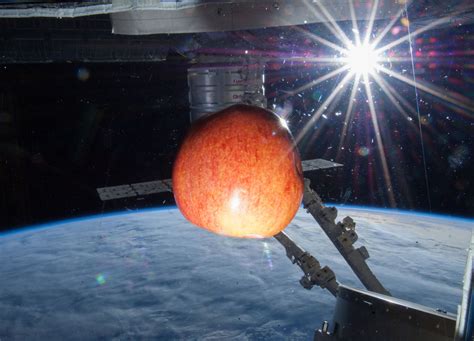 An Apple in Space - SpaceRef