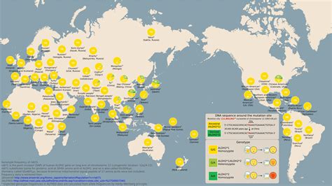 Percent of an area’s population with ALDH2 Deficiency (aka “Asian Flush”). This genetic ...