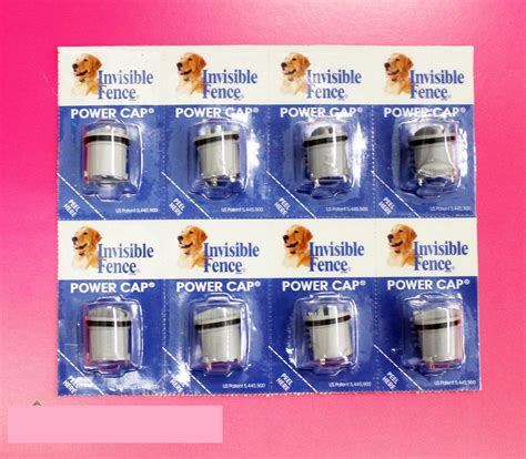 New Invisible Fence Dog Collar Battery For R21 R22 MicroLite