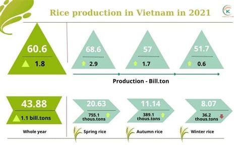 Rice Production In Vietnam Has Continuously Increased Over Years | K ...