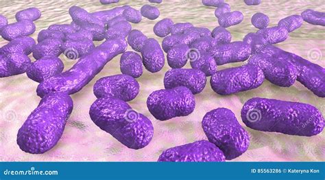 Bacterium Acinetobacter Baumannii Stock Illustration - Illustration of cells, epidemic: 85563286