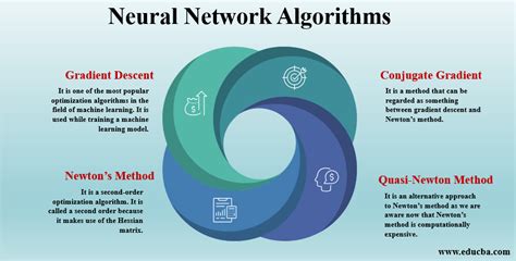 Neural Network Algorithms | 4 Types of Neural Network Alogrithms