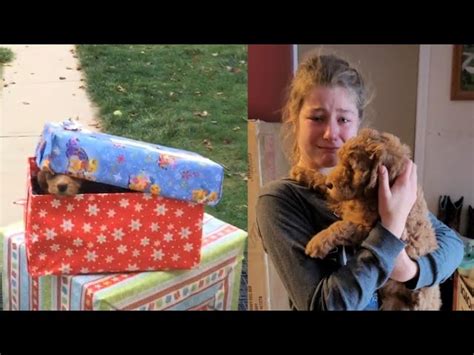 Christmas Puppy Surprise 2021 - Kids getting Puppy as a Christmas Present - MyDogsCorner