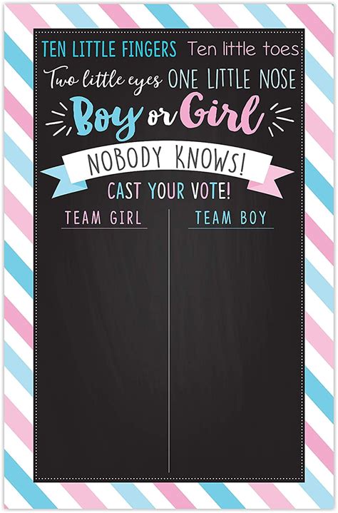 Baby Gender Reveal Party Game Voting Poster Board 11x17 Inches Blue and Pink Gender Reveal Party ...