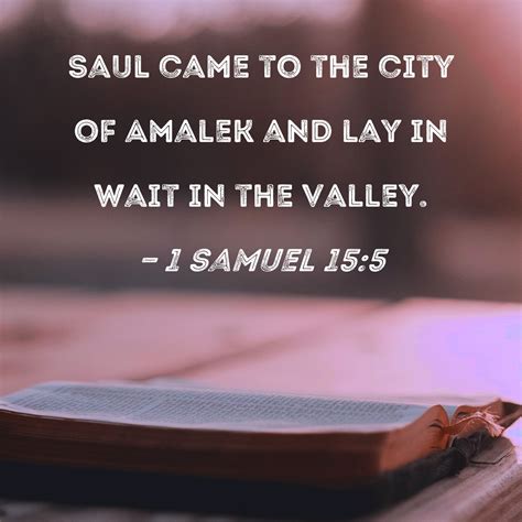 1 Samuel 15:5 Saul came to the city of Amalek and lay in wait in the valley.