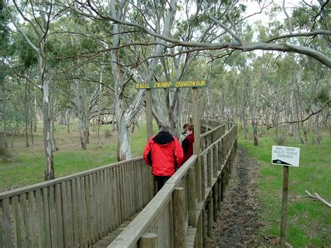 Nhill Caravan Park - Nhill Wildlife Reserve adjacent to park