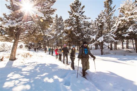 Yellowstone in Winter - Travel Montana Travel Montana & Yellowstone