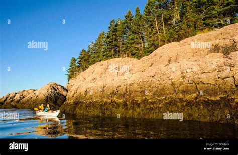 Paddling on the Bay of Fundy in Passamaquoddy Bay Stock Photo - Alamy