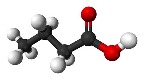 File:Butyric-acid-3D-balls.png - New World Encyclopedia