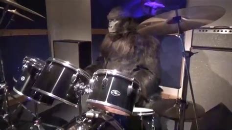 Cadbury Gorilla Advert Animatronic - Cadbury World - YouTube