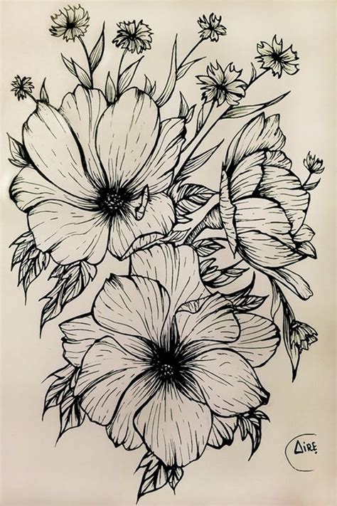 50 Easy Flower Pencil Drawings For Inspiration