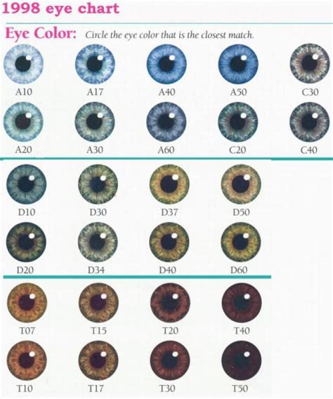 Eye Color Chart | Denver Era My Twinn Eye Color Charts (incomplete set, but a beginning) | Eye ...