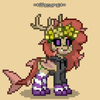 I re-created my first ever Pony Town OC | Side by Side comparison : r/PonyTown