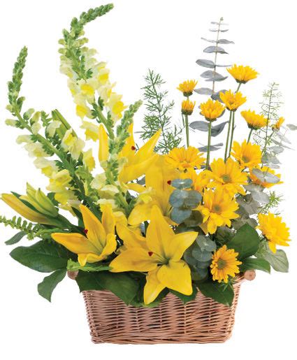 Cheerful Yellow Basket Arrangement | Just Because | Flower Shop Network