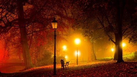 Warm Lights In A Park At Night HD Desktop Background wallpaper free ...