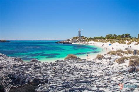 Why Rottnest Island Should Be On Your Australian Bucket List