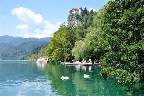 Bled (Eslovenia): lago, iglesia y castillo | Los apuntes del viajero