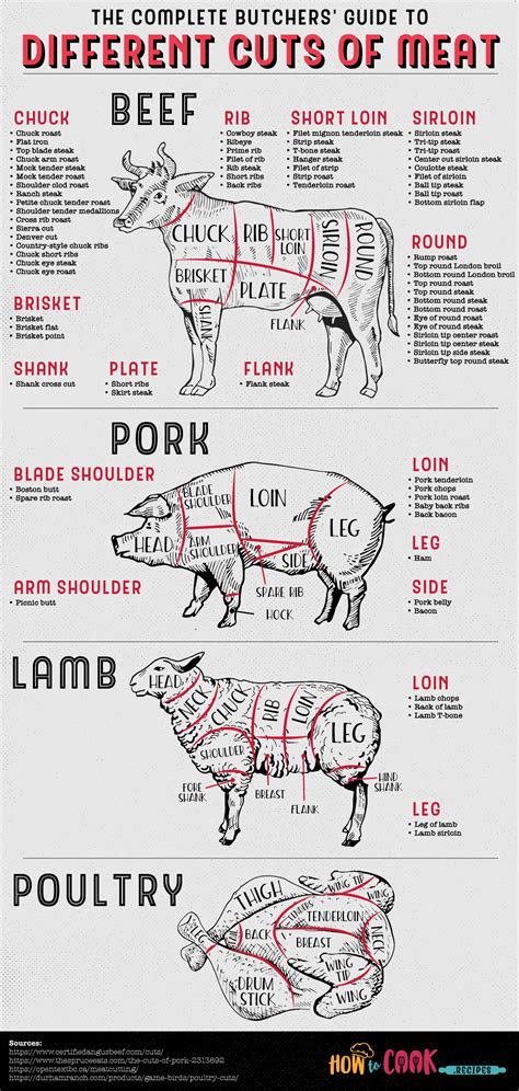 The Complete Guide to Different Cuts of Meat #Infographic - Visualistan