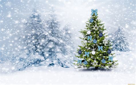 Green Christmas tree, Christmas Tree, winter, snow HD wallpaper ...