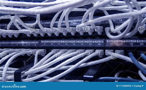 Network Cables Connected To Switch. Network Hub. Stock Image - Image of blue, network: 117284993