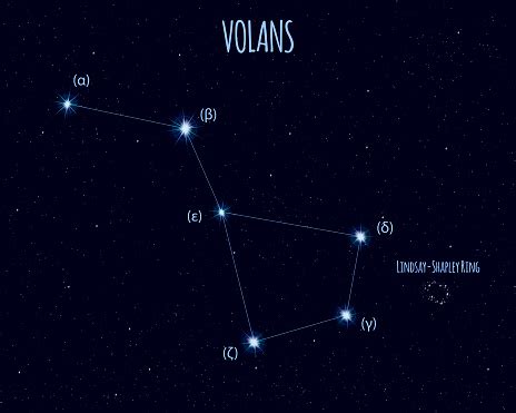 Volans Constellation Vector Illustration With The Names Of Basic Stars ...