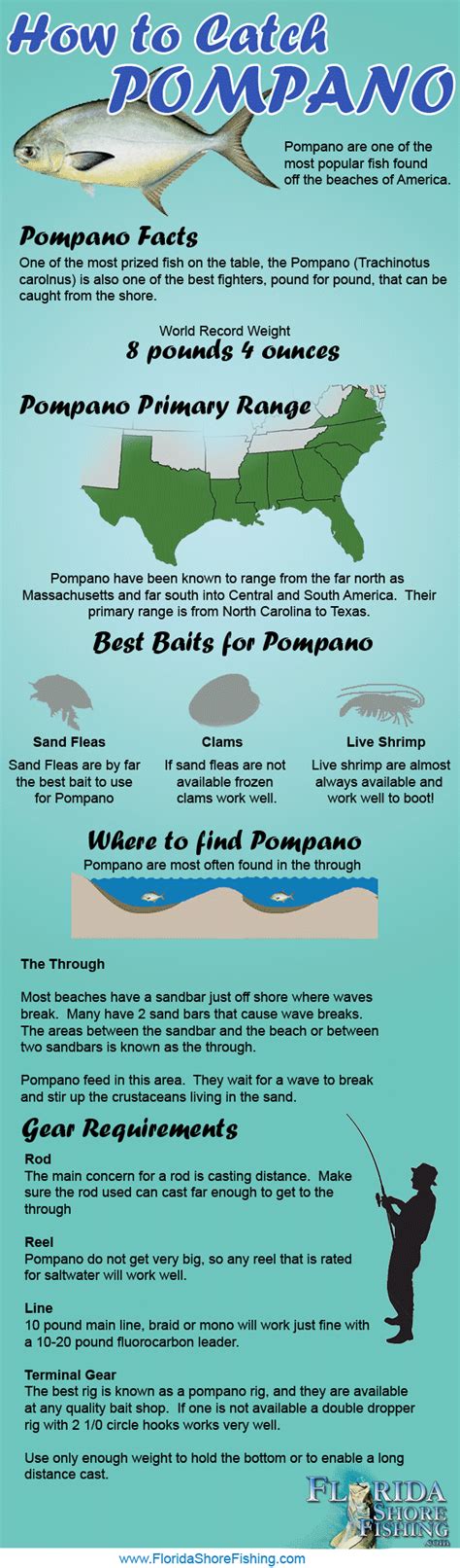 Learn how to catch Pompano with this infographic! | Fishing tips, Trout ...