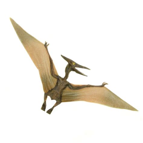 Aliexpress.com : Buy Starz Jurassic World Park Pteranodon Pterosauria Plastic Dinosaur Toys ...