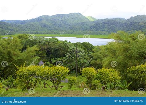 Grand Etang Lake, Grenada, Caribbean Stock Photo - Image of views, lush ...