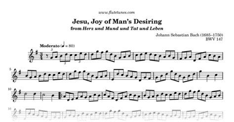 Jesu, Joy of Man's Desiring from Herz und Mund und Tat und Leben (J.S. Bach) - Free Flute Sheet ...